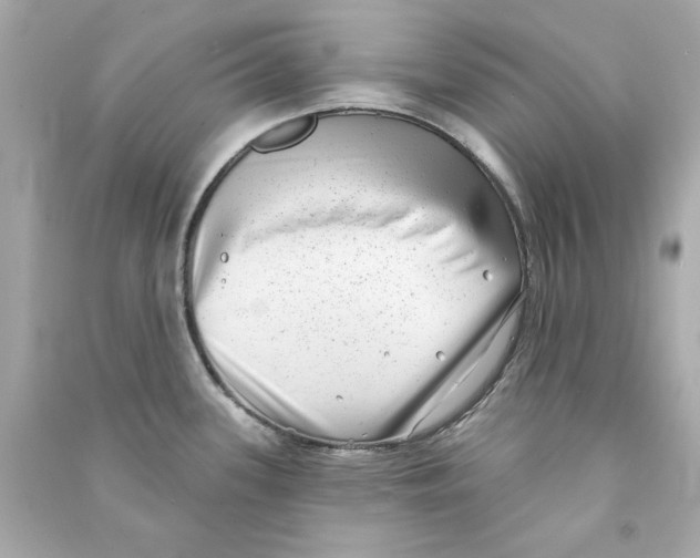 X0000090501339200708102232