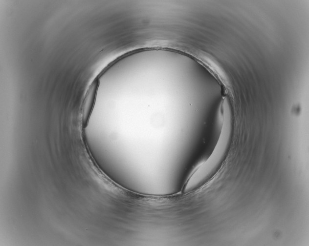 X0000090501340200708102232