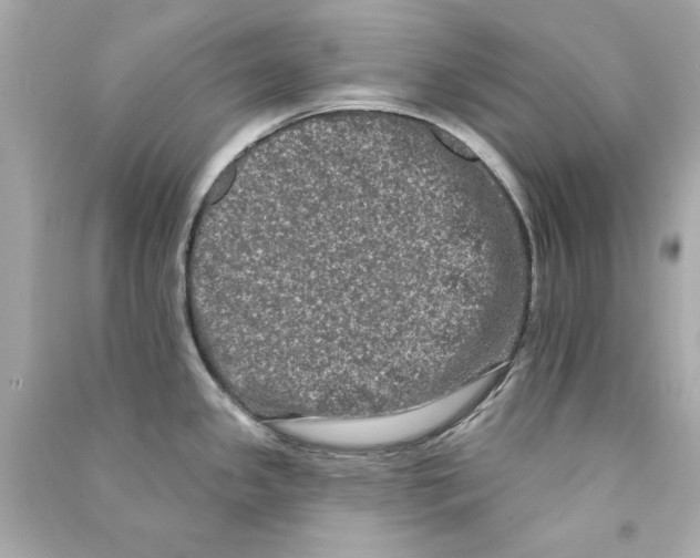 X0000090501341200708102232