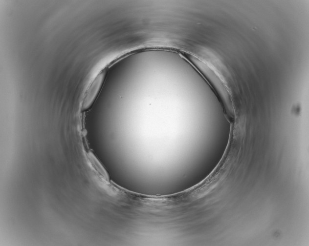 X0000090501342200708102232