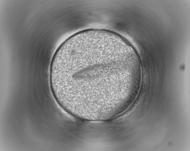 X0000090501343200708102232