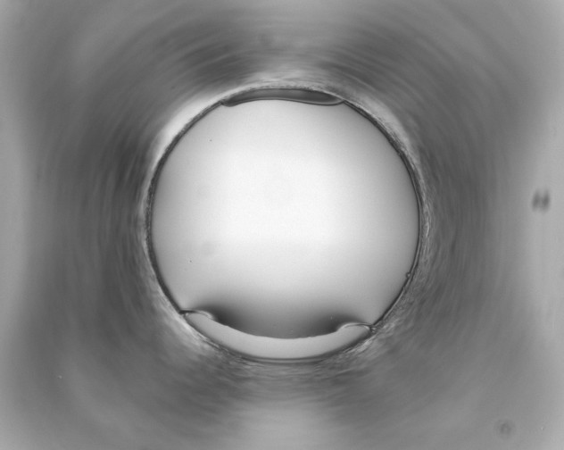 X0000090501344200708102232