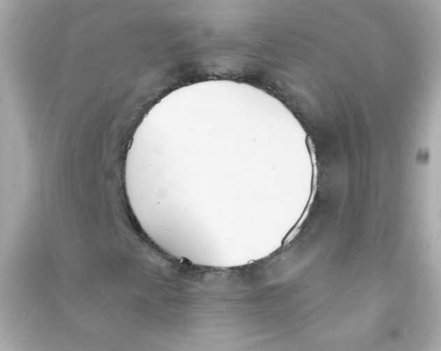 X0000090501345200708102232