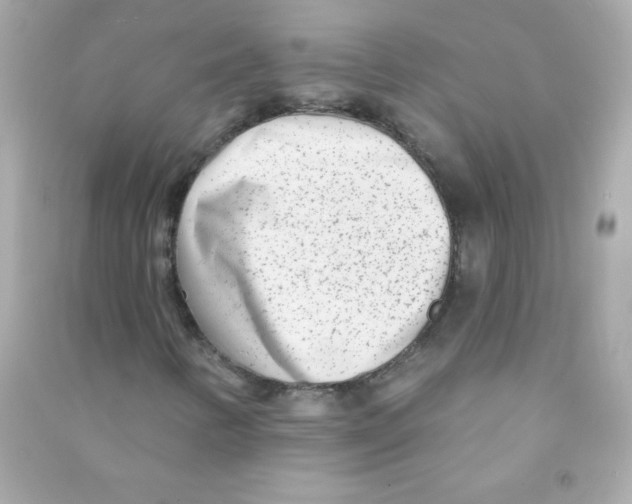 X0000090501346200708102232