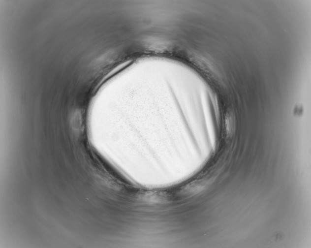 X0000090501347200708102232