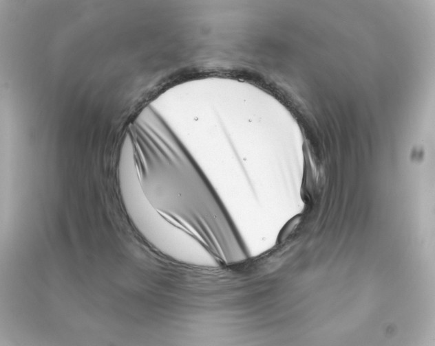 X0000090501348200708102232