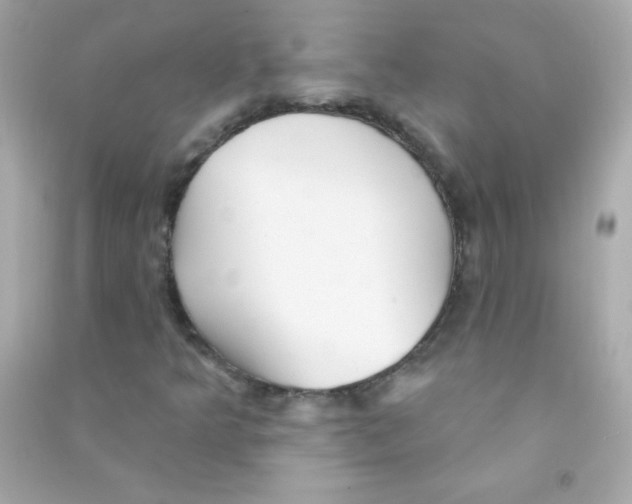 X0000090501349200708102231