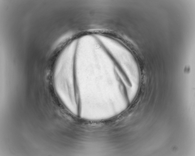 X0000090501351200708102231