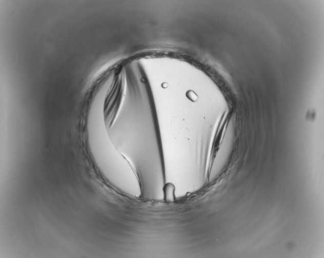 X0000090501352200708102231