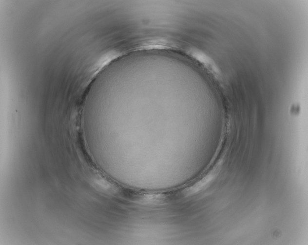 X0000090501353200708102231