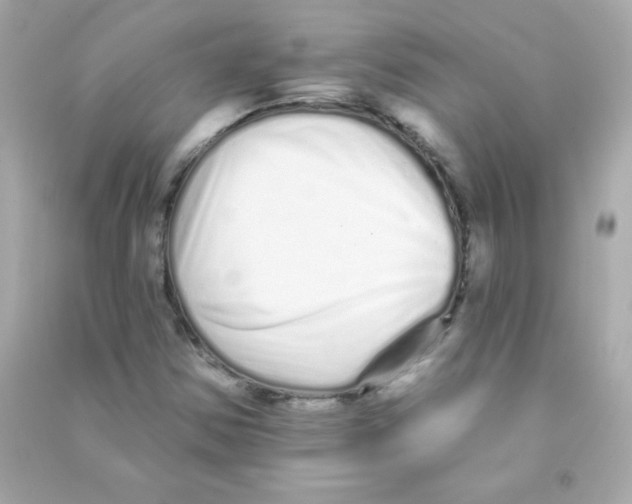 X0000090501354200708102231