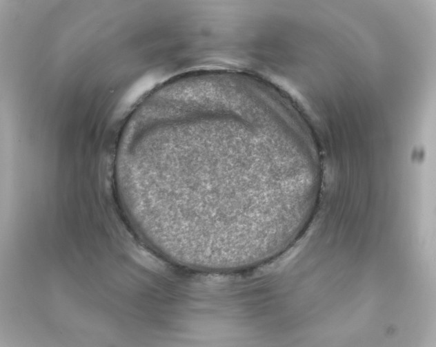 X0000090501355200708102231