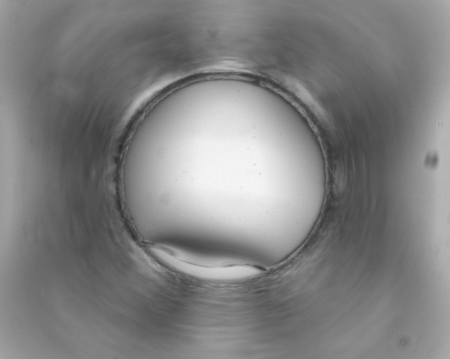 X0000090501356200708102231