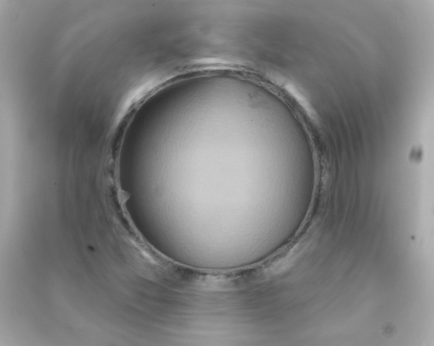 X0000090501357200708102231