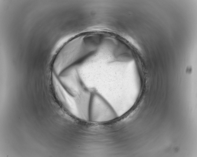 X0000090501358200708102231