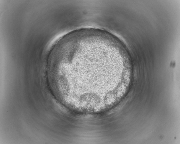 X0000090501359200708102231