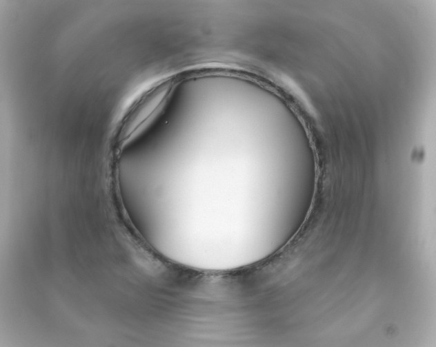 X0000090501360200708102231