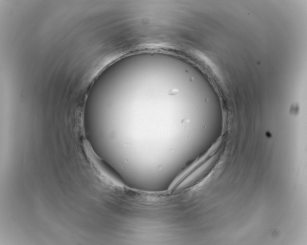 X0000090501361200708102231