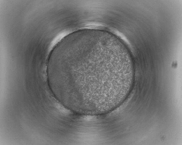 X0000090501362200708102231