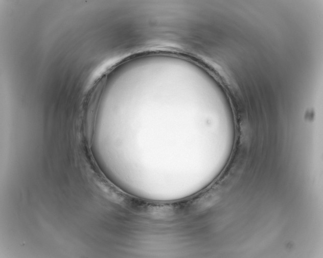 X0000090501363200708102231