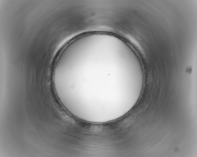 X0000090501364200708102231