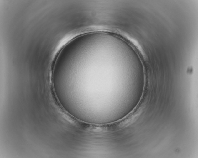 X0000090501365200708102231