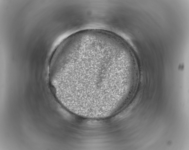 X0000090501366200708102231