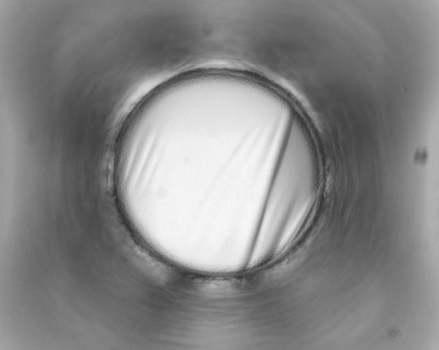 X0000090501367200708102231