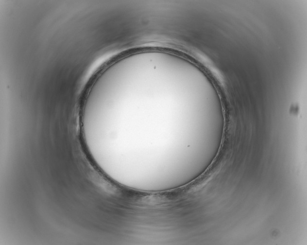 X0000090501368200708102231