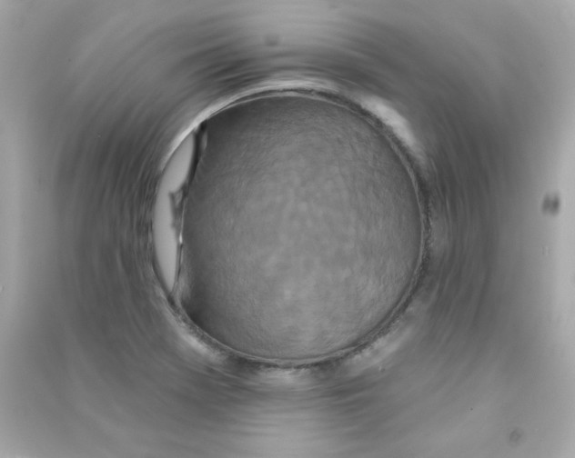 X0000090501369200708102231