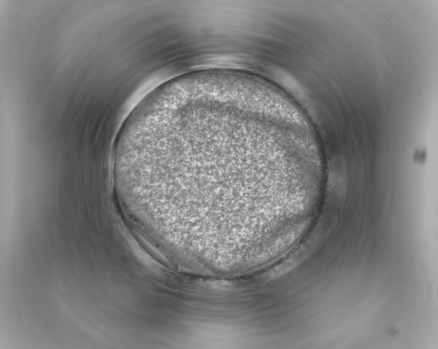 X0000090501370200708102231