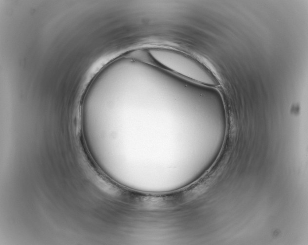 X0000090501371200708102231