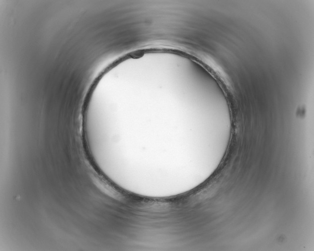 X0000090501372200708102231