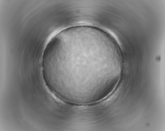 X0000090501373200708102231