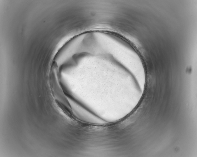 X0000090501374200708102231