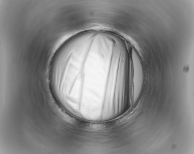 X0000090501375200708102231