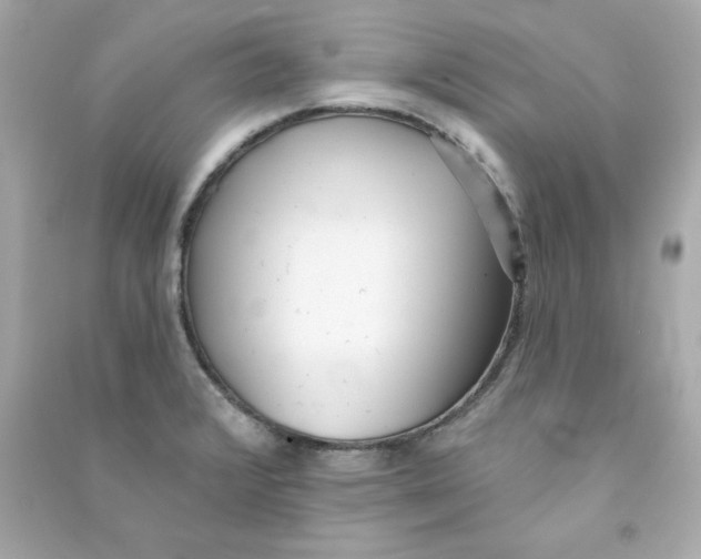 X0000090501376200708102231