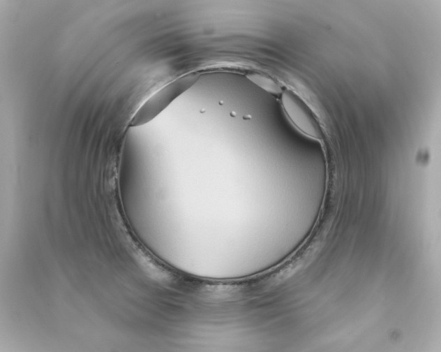 X0000090501377200708102231