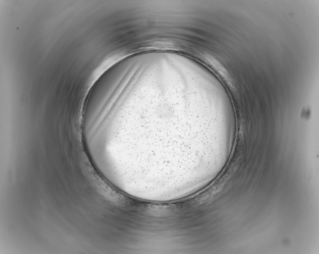 X0000090501378200708102231