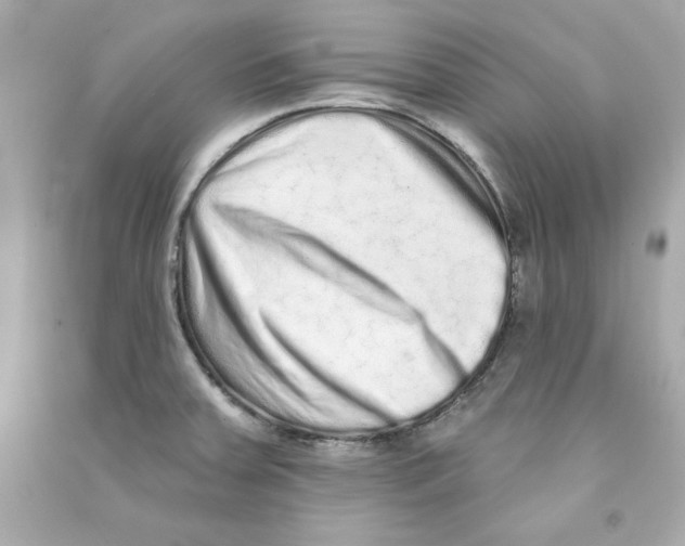 X0000090501379200708102231