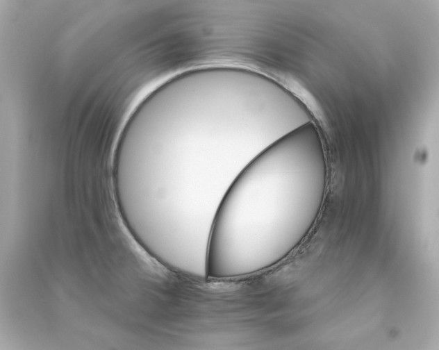 X0000090501380200708102231