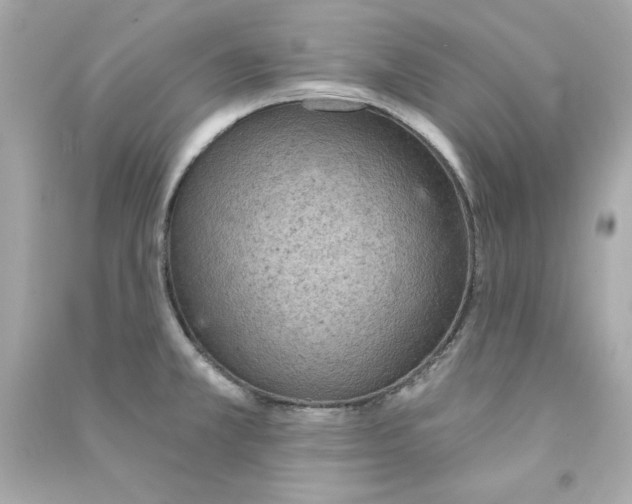 X0000090501381200708102231