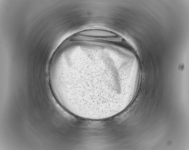 X0000090501382200708102231