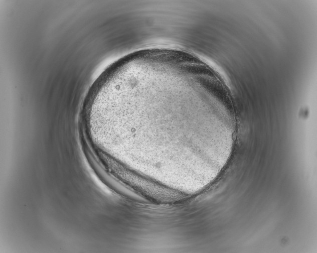 X0000090501383200708102231