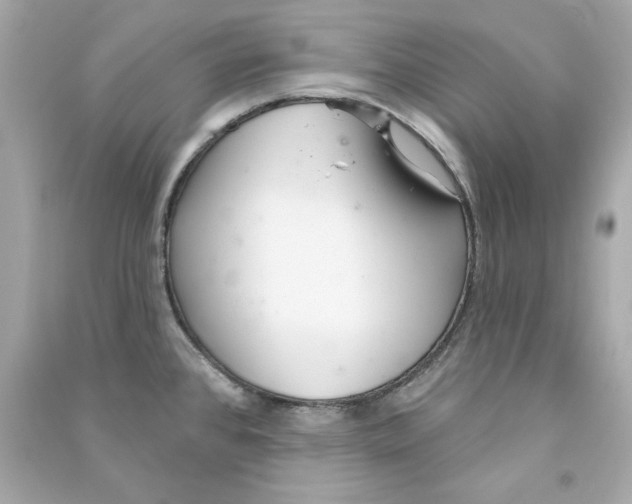 X0000090501384200708102231