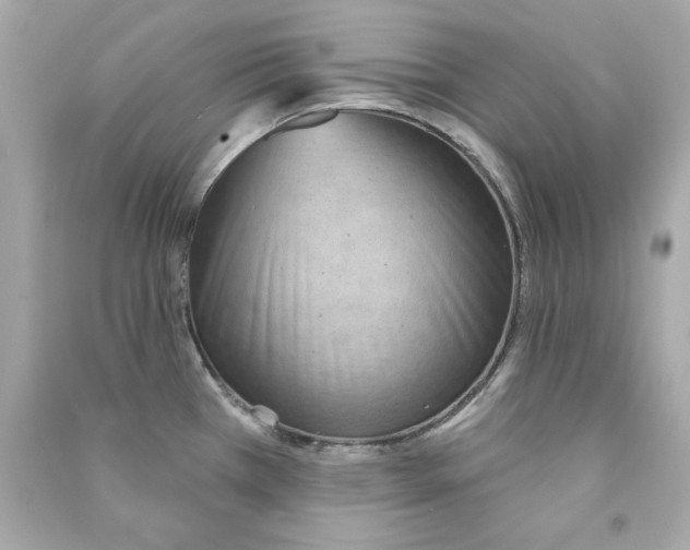 X0000090501385200708102231