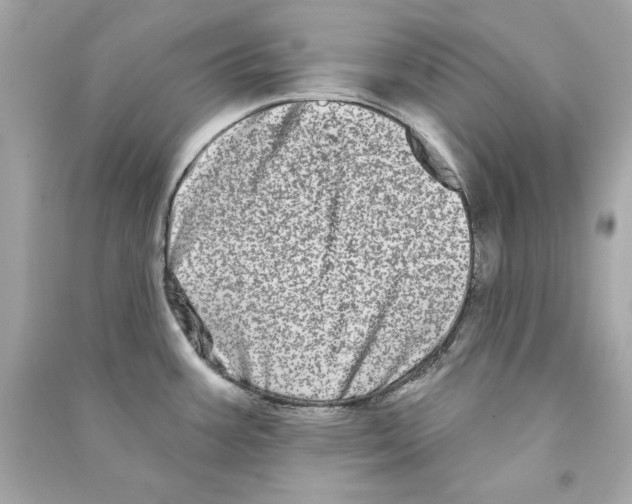 X0000090501387200708102231