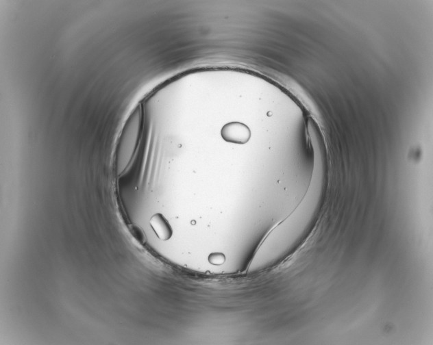 X0000090501388200708102231