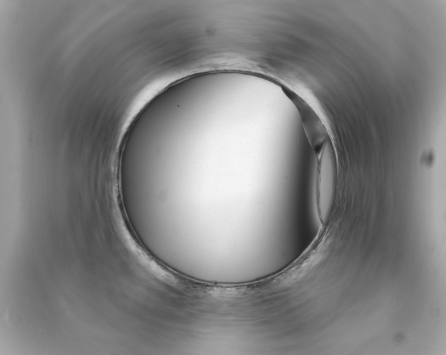 X0000090501389200708102231