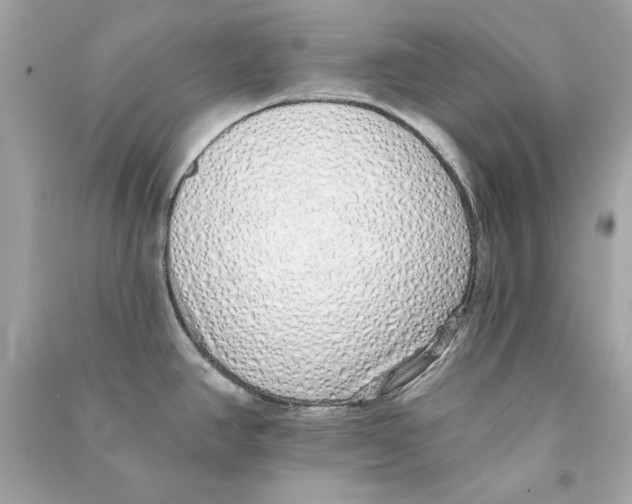 X0000090501390200708102231